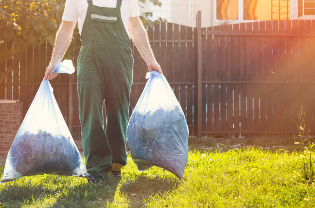 Best Attic Cleanout Services  in San Carlos, AZ